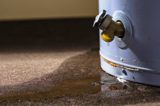 Water damage restoration mold remediation in Lake Belvedere Estates, FL