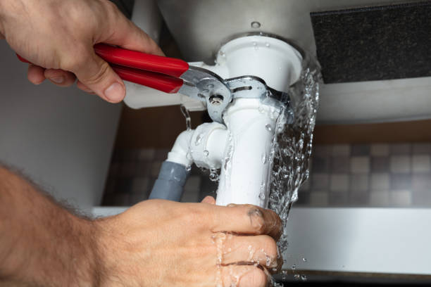 Best Water damage contractors near me  in Lake Belvedere Estates, FL