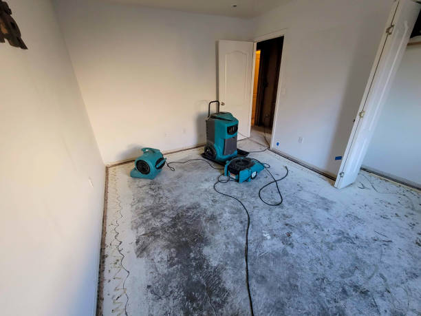 Best Water damage restoration near me  in Lake Belvedere Estates, FL