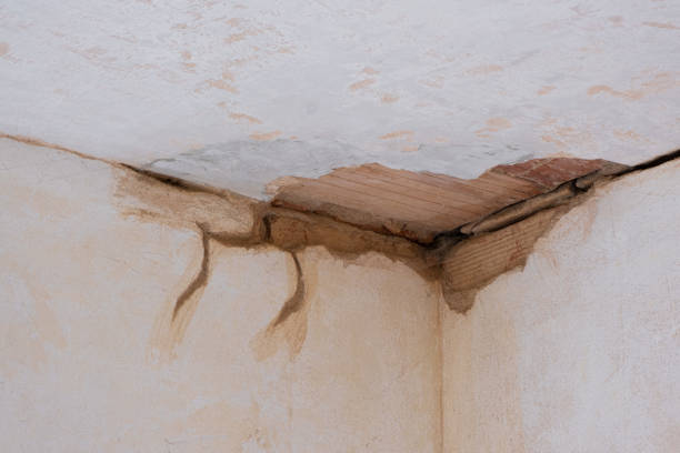 Best 24/7 water damage repair  in Lake Belvedere Estates, FL