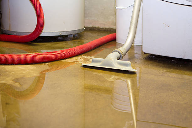 Trusted Lake Belvedere Estates, FL Water damage restoration Experts